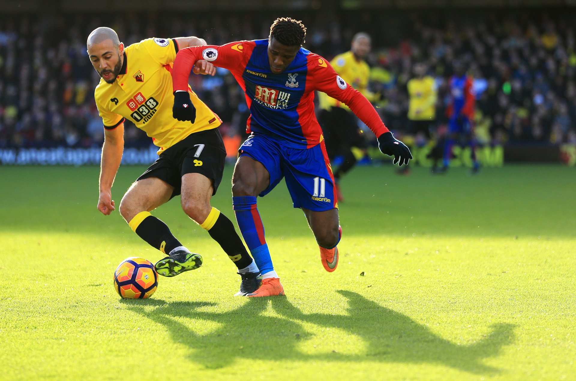 她们不仅代 她们不仅代